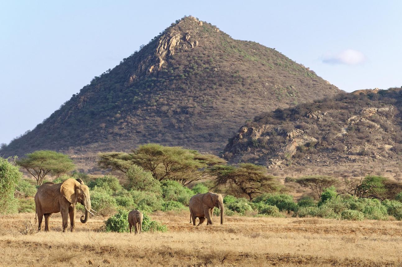 7 Days / 6 Nights Samburu—Nakuru–Lake Naivasha-Masai Mara