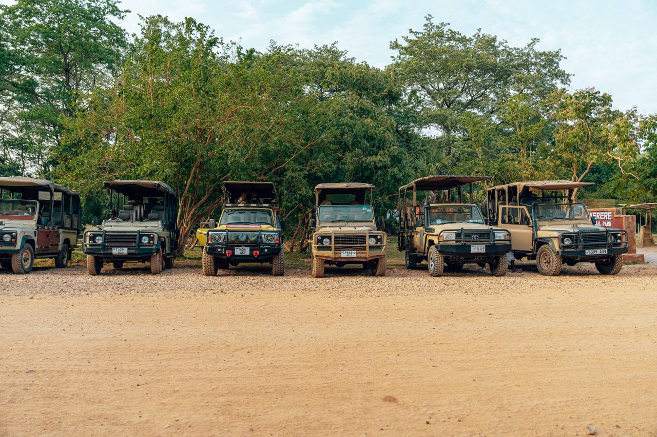 5 Days Masai Mara – Nakuru – Naivasha Safari