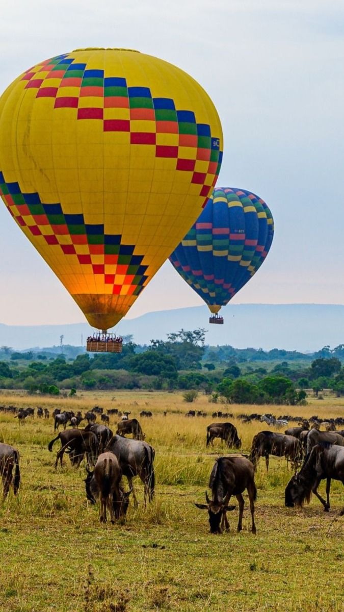 7 Days / 6 Nights Samburu—Nakuru–Lake Naivasha-Masai Mara