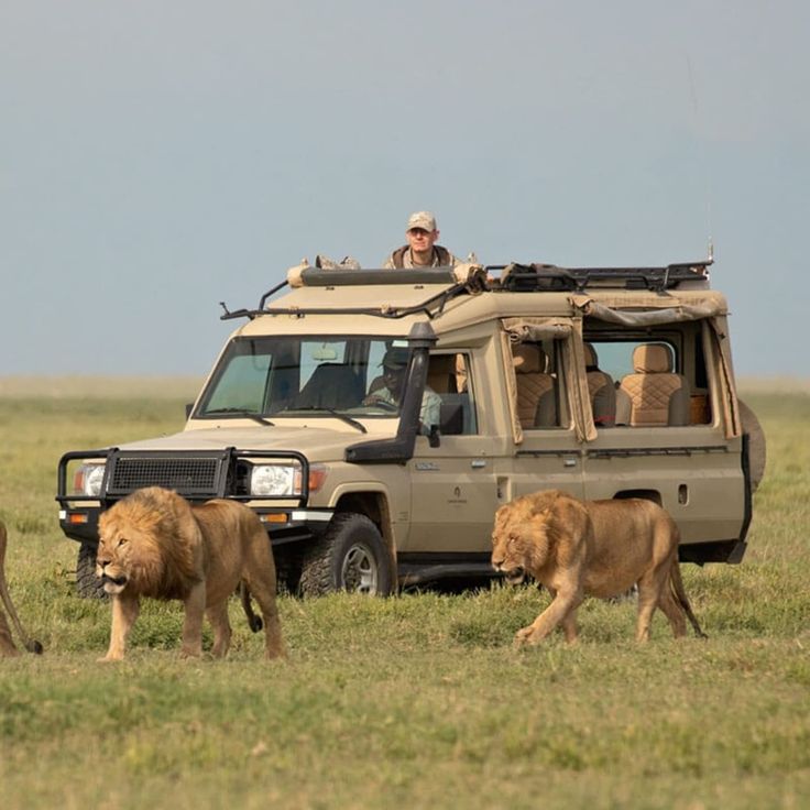 4 Days Samburu-Sweet Waters (Ol Pejeta)