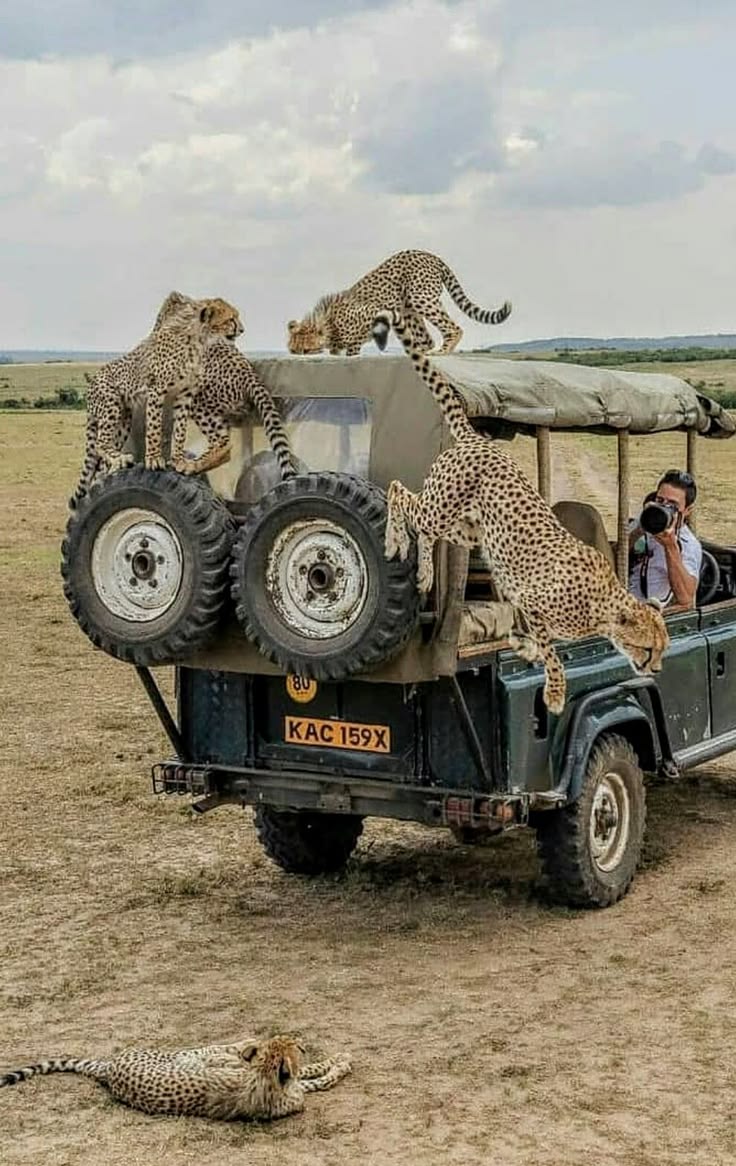 4 Days Samburu-Sweet Waters (Ol Pejeta)