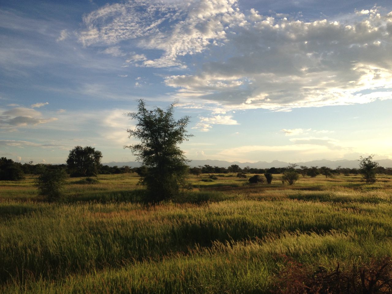 3 Days Samburu Tour