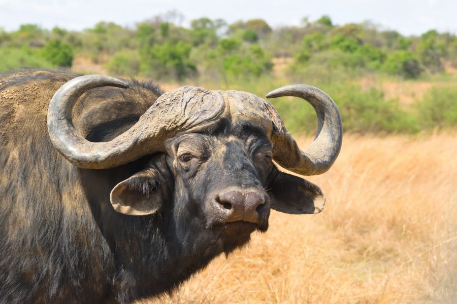 3 Days Samburu Tour