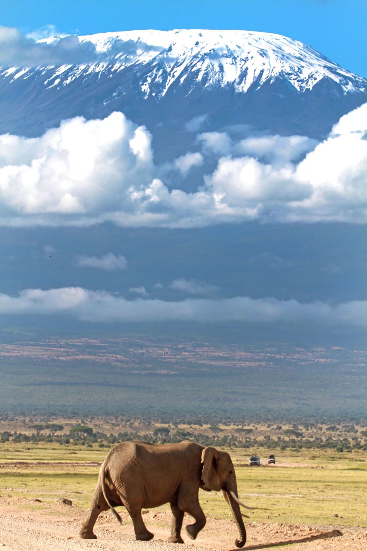 9 Days Samburu – Sweetwaters – Aberdares – Lake Nakuru – Lake Naivasha – Masai Mara Safari