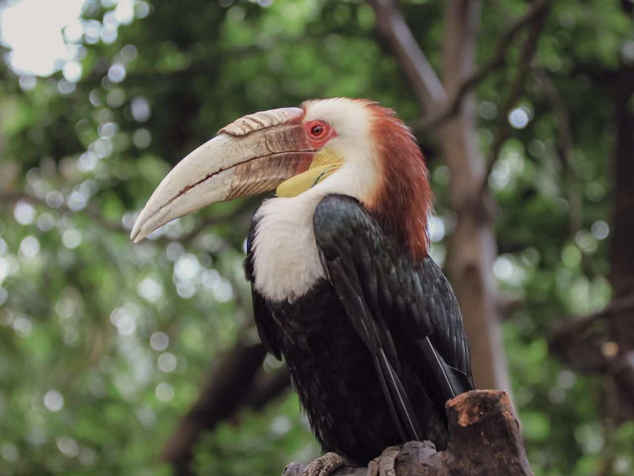 8 Days / 7nights Samburu – Nakuru – Bogoria / Baringo –Lake Naivasha – Masai Mara